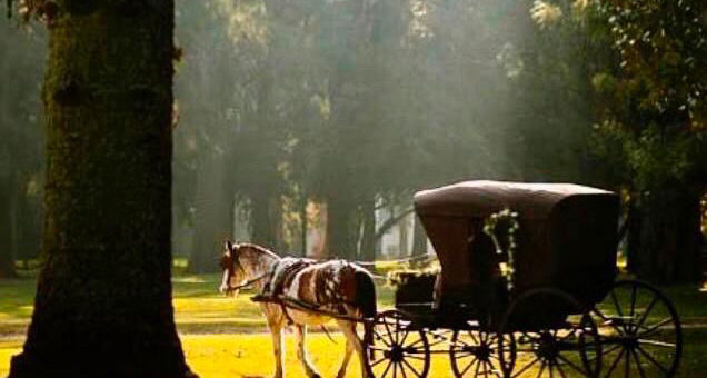 Parques y jardines en la provincia de Buenos Aires