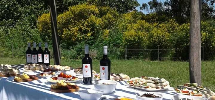 La ruta del vino bonaerense