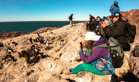 Puerto Deseado, mejoras en el acceso a la isla pingüino