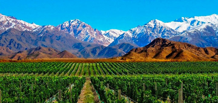 Ruta del vino: seis regiones por explorar