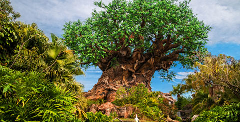 Disney celebra el Día de la Tierra