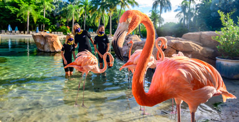 19 razones para visitar Orlando