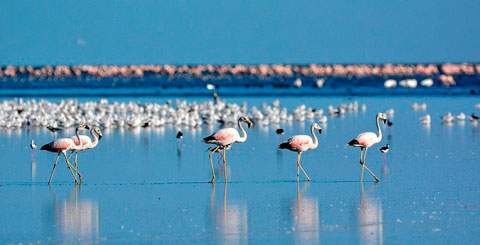 Ecoturismo en Córdoba