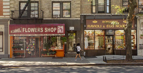 Explorar el Bronx como un neoyorquino