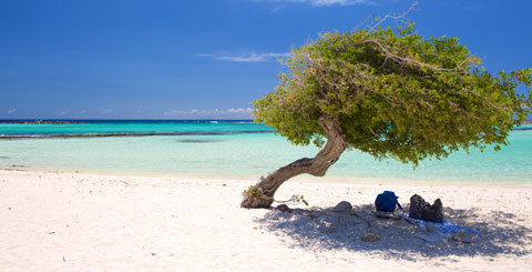 Aruba ya no requiere test a viajeros