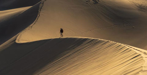 Descubrir los Parques Nacionales de California
