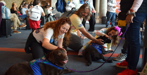 Perros ayudan a personas que sufren de aerofobia