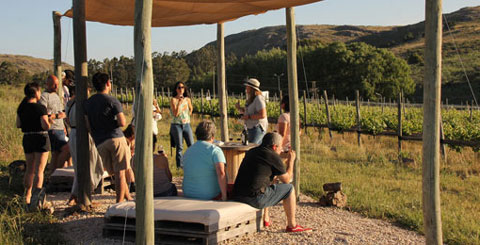 Tandil se destaca en turismo de vinos
