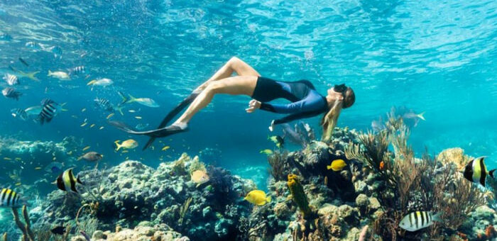 Las Bahamas, un destino ideal para explorar las maravillas submarinas