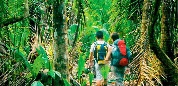 Costa Rica, un ejemplo turístico sustentable latino y global