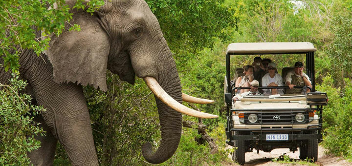 Parque Nacional Kruger: ¿cuándo vivir la mejor aventura?