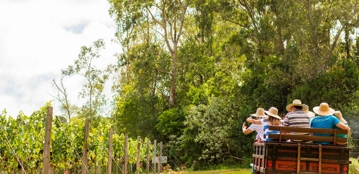 Brasil, un destino de vinos inesperado