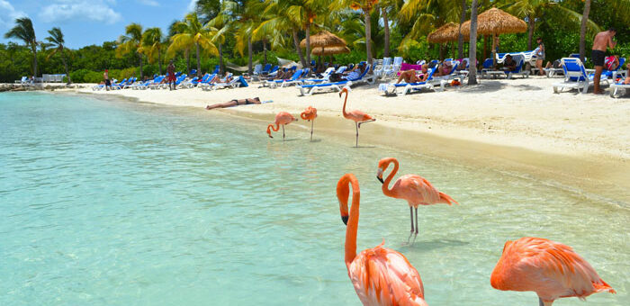 Aruba, un oasis de bienestar en el Caribe