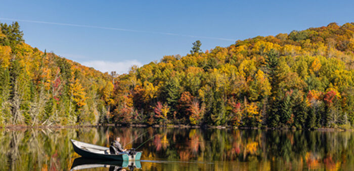 Québec en otoño, un homenaje al color y la vida silvestre