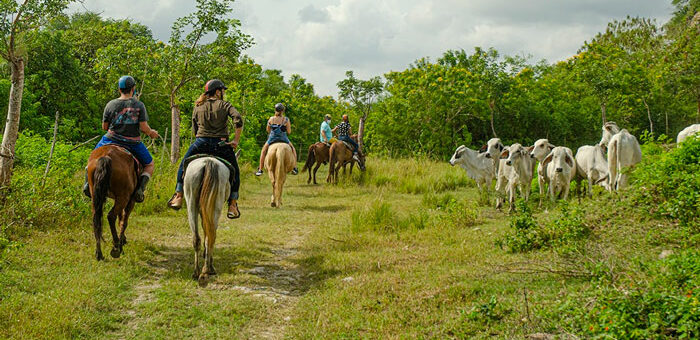 Agroturismo y naturaleza, nuevas apuestas turísticas de Cuba