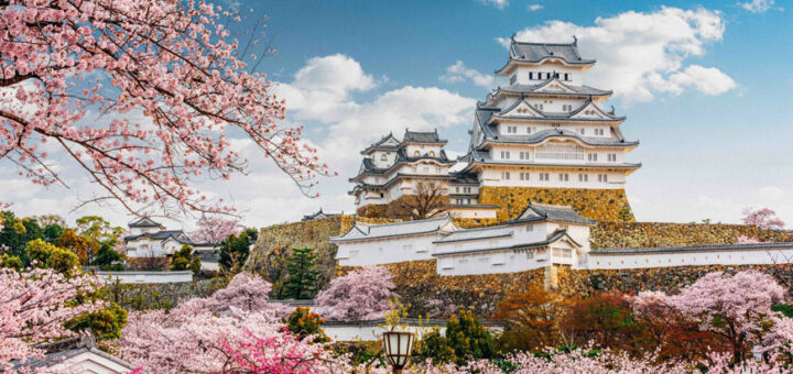 Visitar Japón en primavera